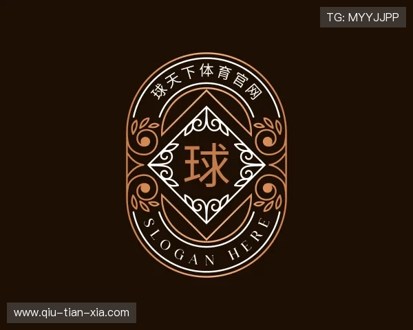 介绍球天下体育官网